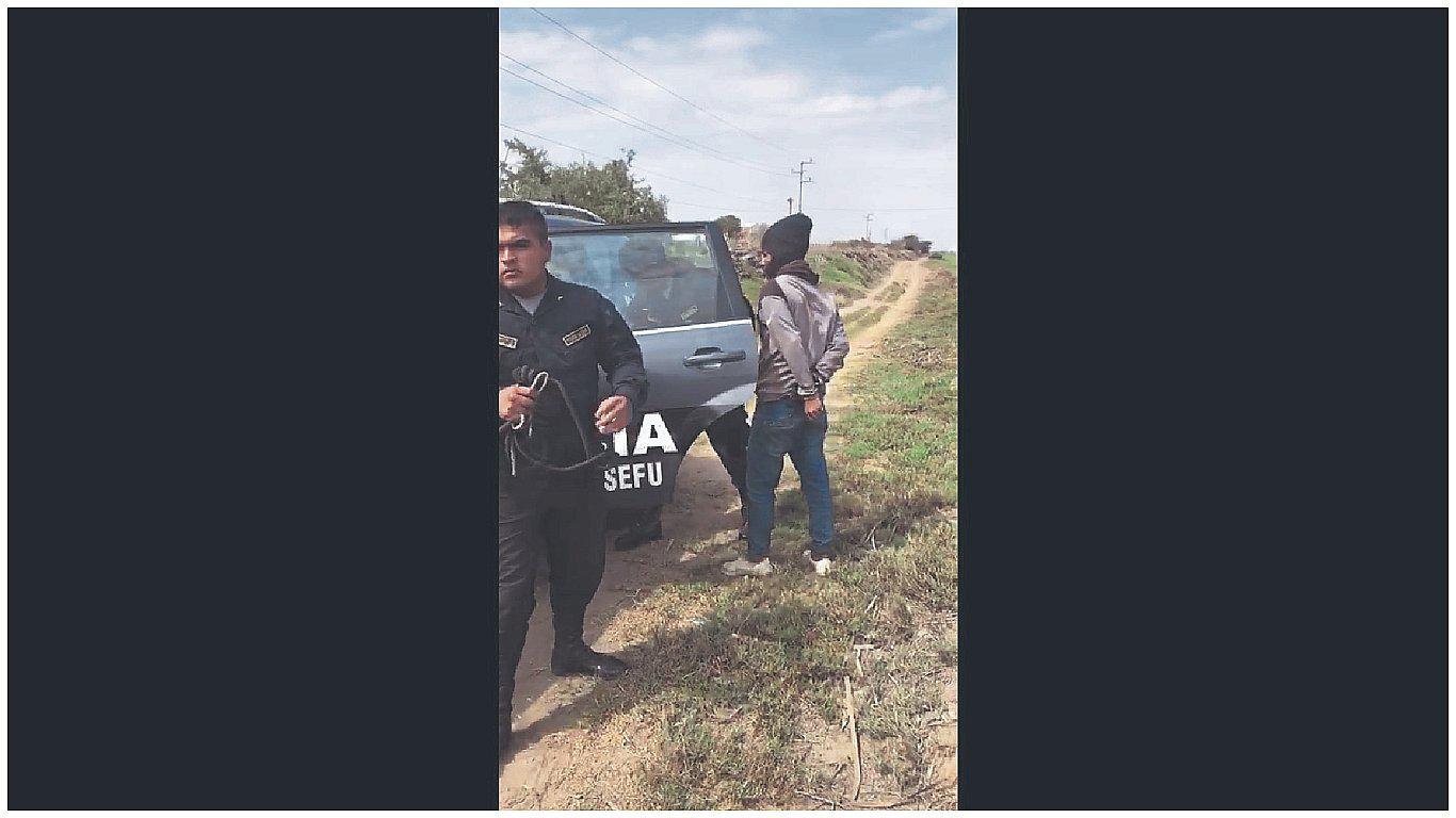 Intervienen a individuo cuando robaba un burro 