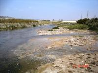 Minería contamina aguas del río Pisco 