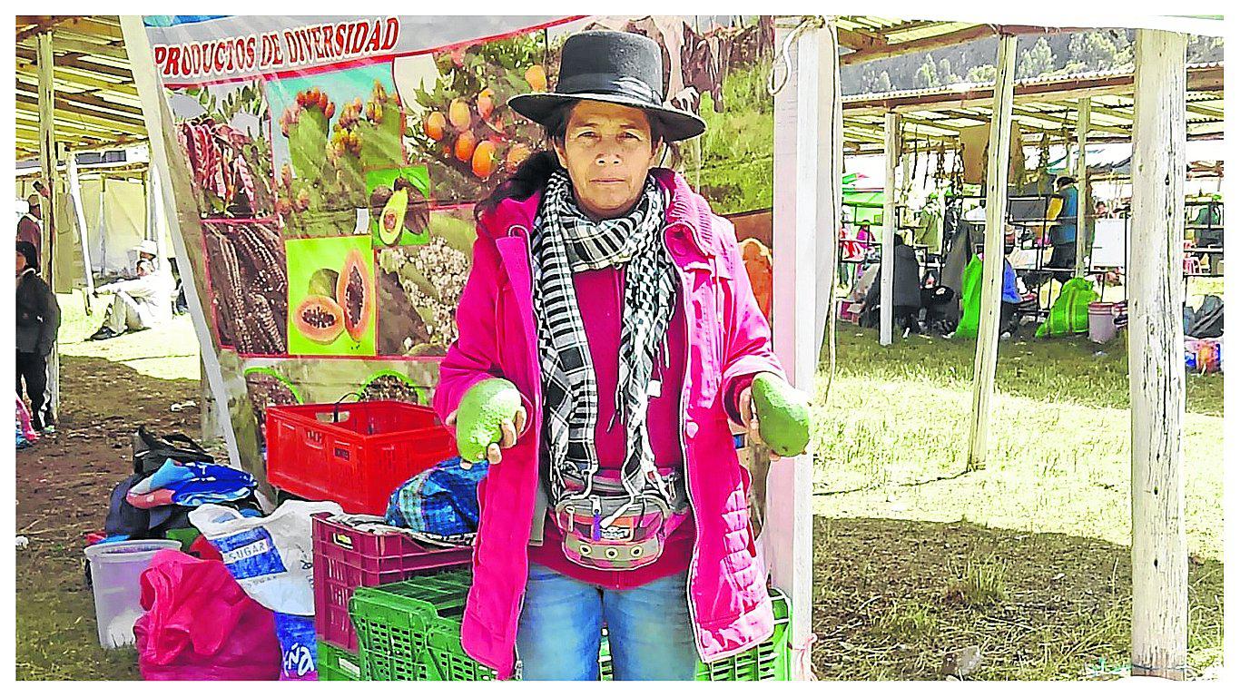 ​Productores de palta piden puente para que vendan sus frutos