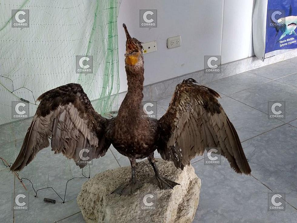 Puertas abiertas en laboratorio de Imarpe en Camaná(FOTOS)