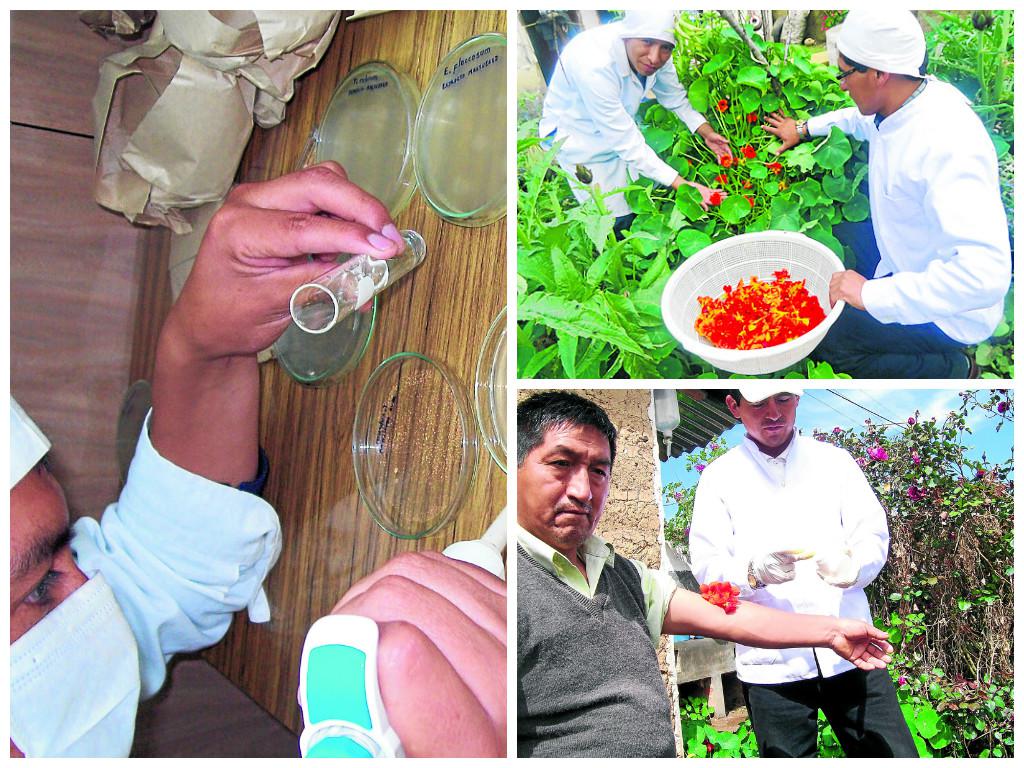 Químico farmaceútico cura  a los pobres con hierbas del campo