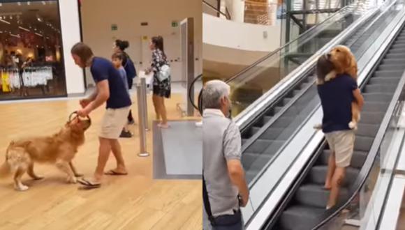 Hombre causa ternura al cargar a su mascota porque tenía miedo de subir las escaleras