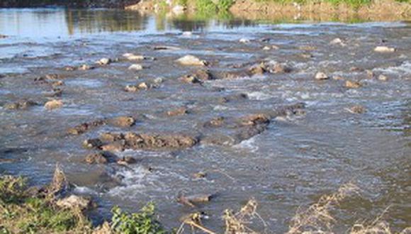 Contaminación del río Coata afecta a 700 familias en Capachica