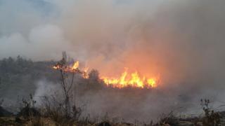 Incendios forestales acaban con 319 hectáreas de áreas verdes en Huánuco