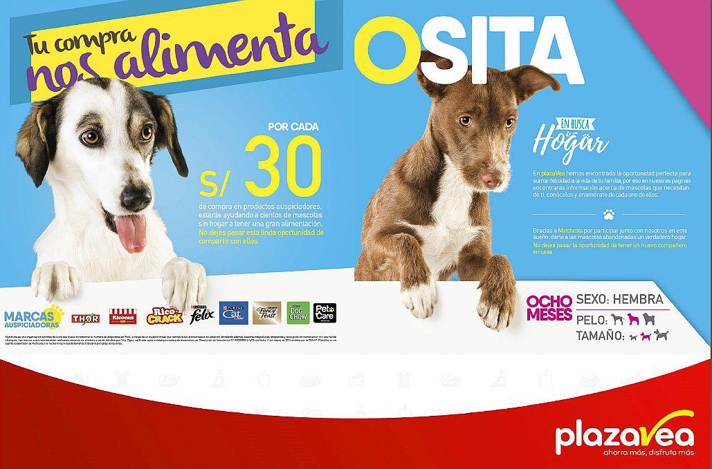 “En busca de un Hogar”: adorables perritos protagonizan nueva campaña de plazaVea