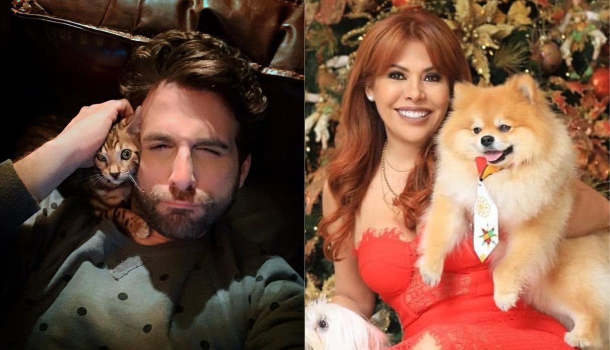 Rodrigo González tras el regreso de Magaly Medina: “Volvió la bruja para meterlos en la hoguera” (Foto: Instagram)