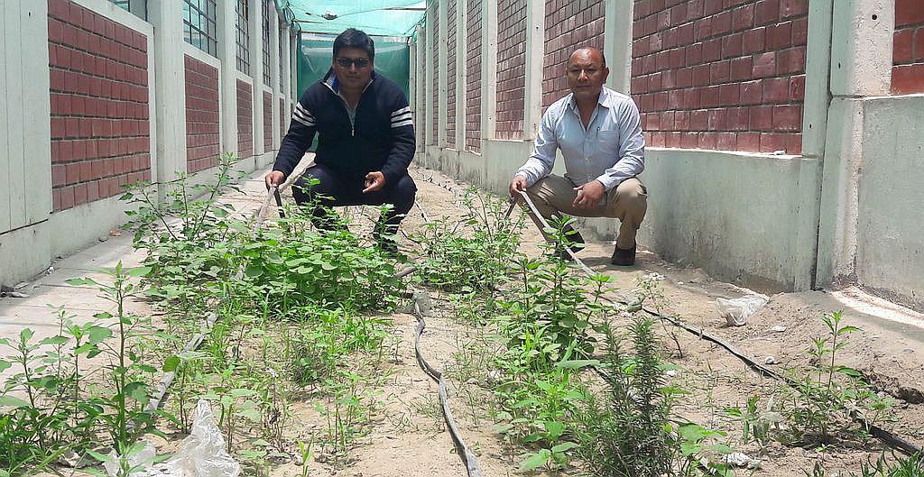 Docentes ganan financiamiento para su proyecto