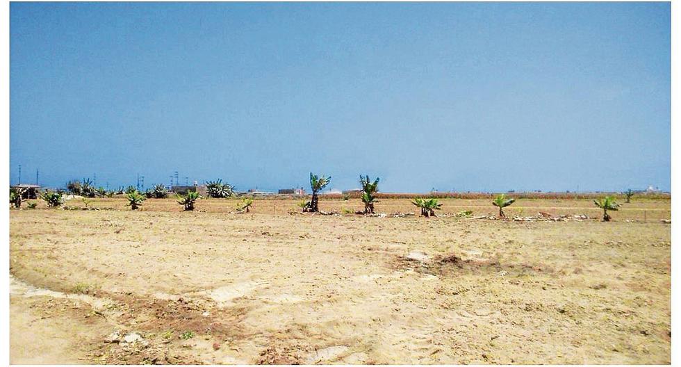 Piden anular asientos registrales de 3,800 hectáreas por ser eriazos y