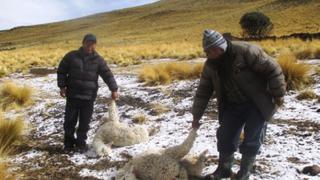 Senamhi: estas 11 regiones soportarán la caída de nieve y granizo para el fin de semana