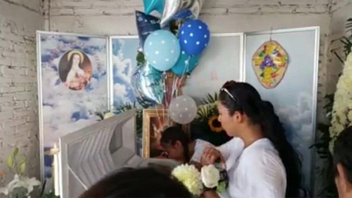 Bebé fallece tras mordedura de temida araña "violinista" en México