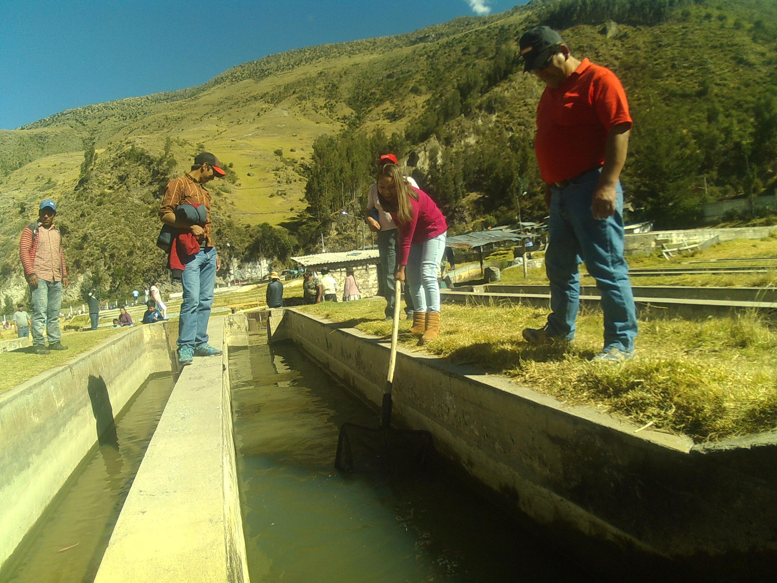 Piscigranja comunal de Jatumpampa resurge de crisis