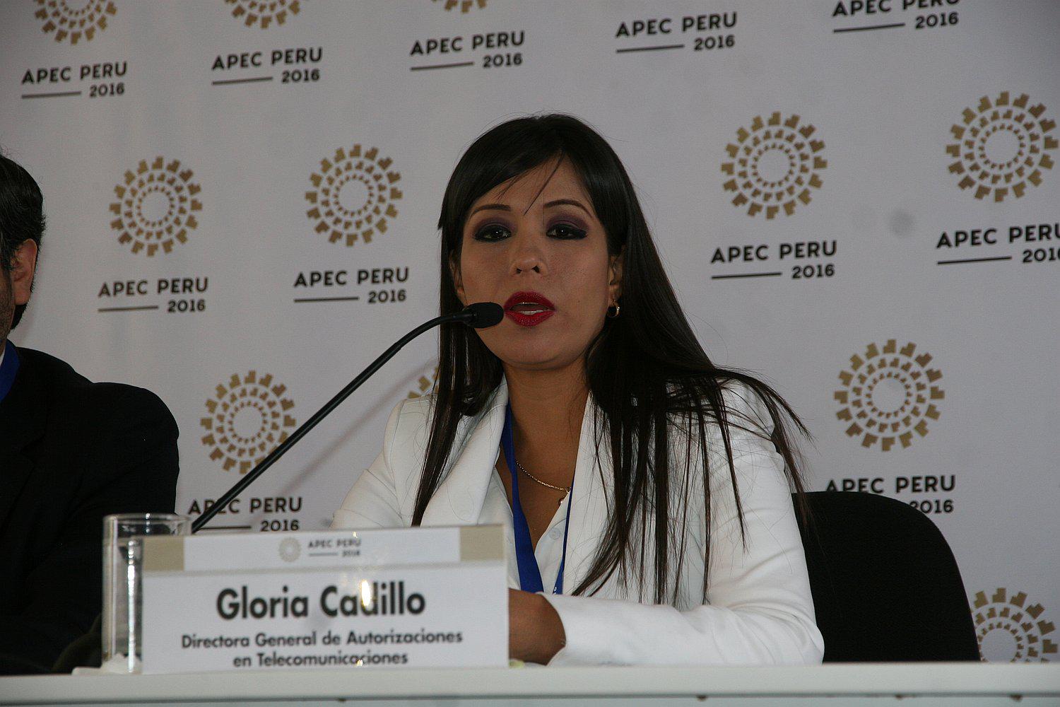 APEC 2016: Anuncian aplicación de piloto de alerta temprana en nueve ciudades 