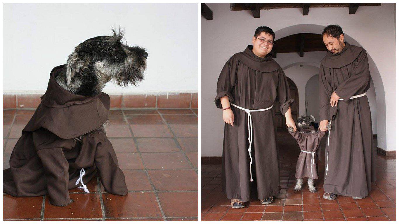 "Fray Bigotón": perrito adoptado por monjes de San Francisco remece Facebook (FOTOS)