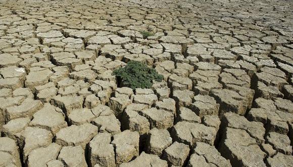 FAO lanza un nuevo sistema para detectar la sequía desde el espacio