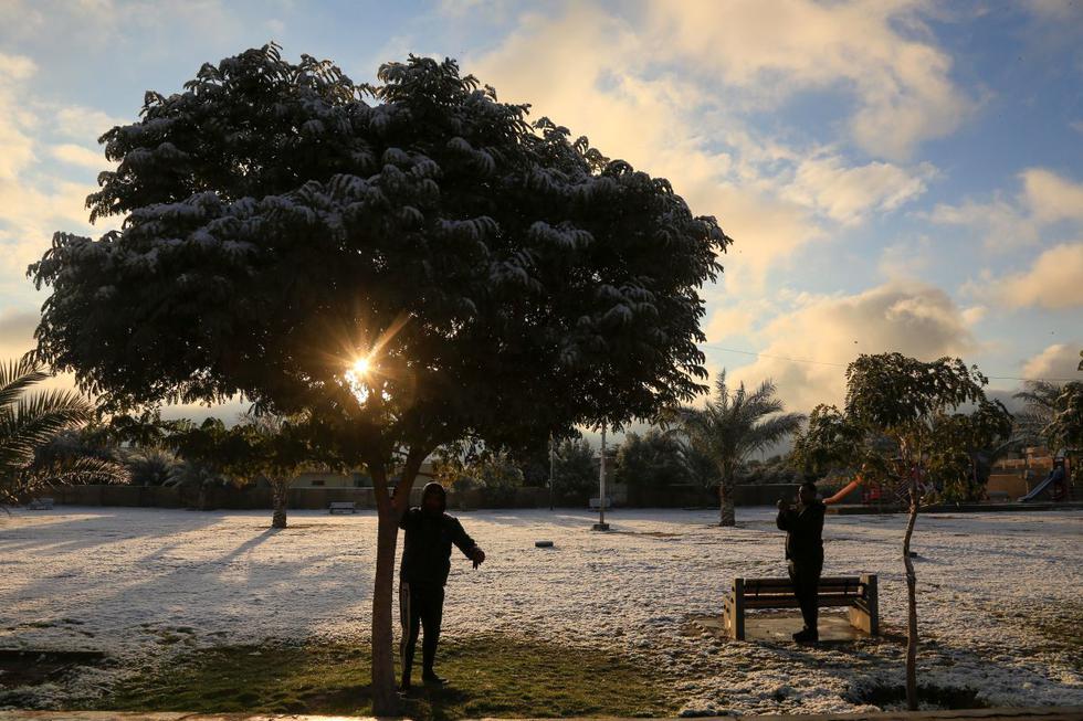 Dos iraquíes sacuden la nieve de un árbol en un parque en la ciudad sagrada chiíta de Kerbala. (AFP)
