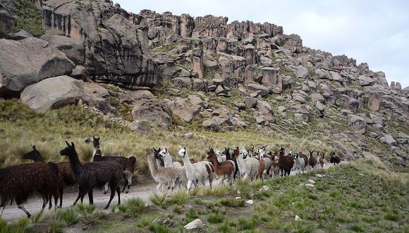 Analizarán riesgos y desastres en el Camino Inca o Qhapaq Ñan