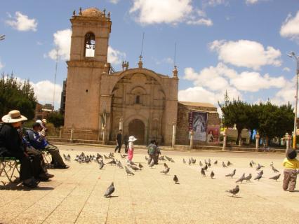 Juliaca: Sacerdote exige que retiren a palomas de Plaza de Armas