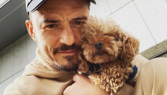 Orlando Bloom pide a sus seguidores que oren por su perrito perdido. (Foto: Instagram @orlandobloom)