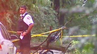 Chicago Fire: Actriz murió tras caerle árbol