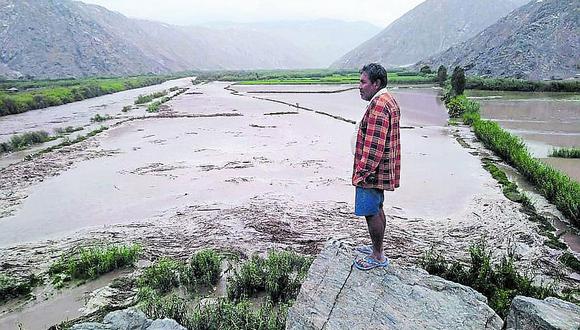 Río arrasa 75 hectáreas de arroz en Quilca