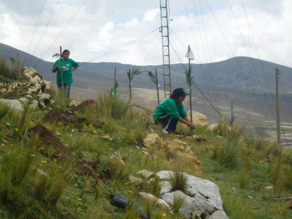 Comuneros y vecinos participan en campaña de reforestación de La Oroya