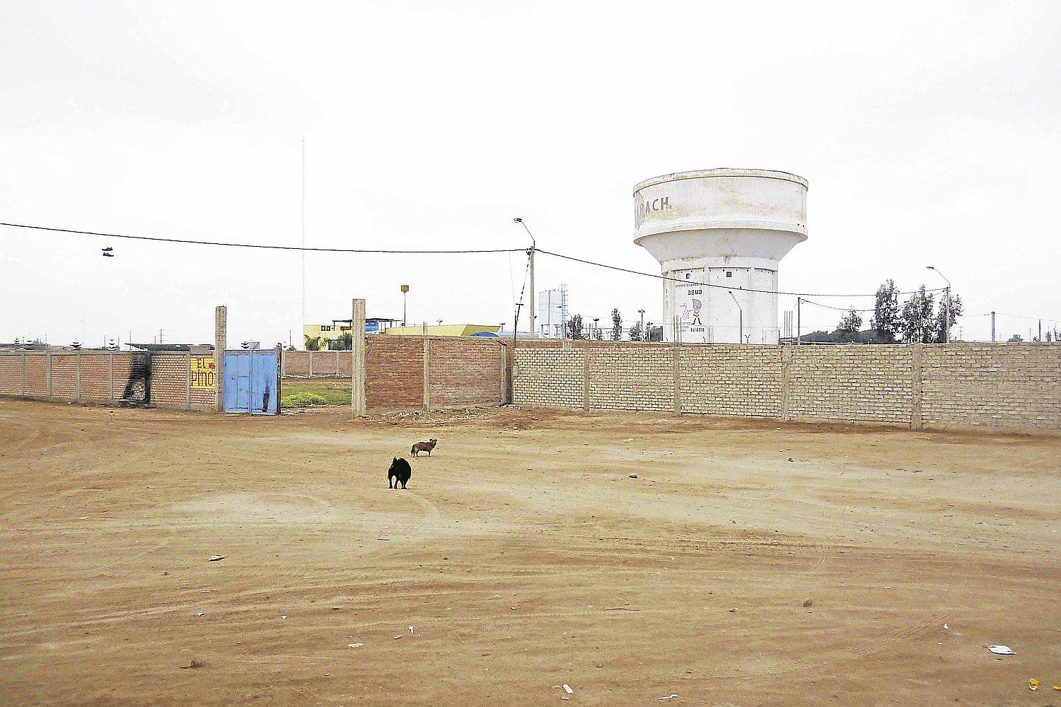 “Aves que ingresan  a reservorio de SEMAPACH pueden contaminar el agua”
