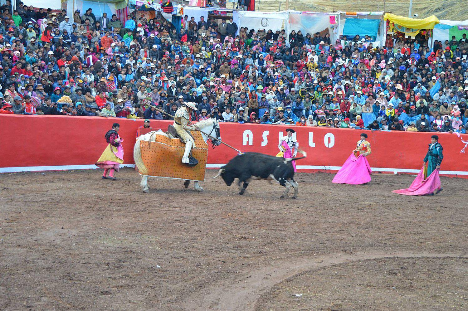 Puno: distrito de Asillo se prepara para celebrar la fiesta de "San Jerónimo" 