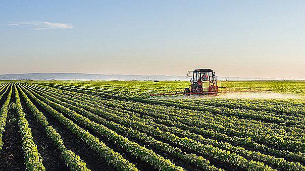 Congreso posterga la ampliación de la Ley de Promoción Agraria