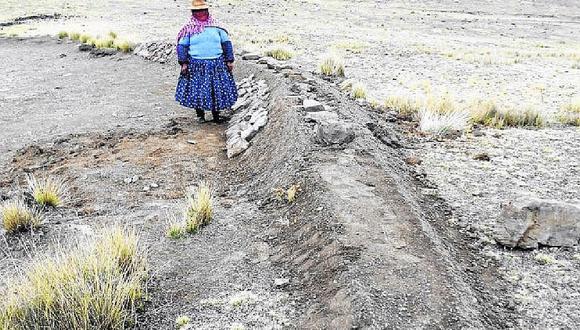 ​Déficit hídrico amenaza a la agricultura de Puno