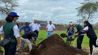 Agro Rural recupera cobertura vegetal de 100 hectáreas con siembra de semillas forestales en Piura