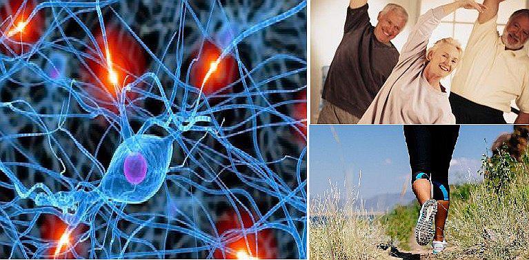 Estudiosos descubren que somos capaces de crear nuevas neuronas a cualquier edad 