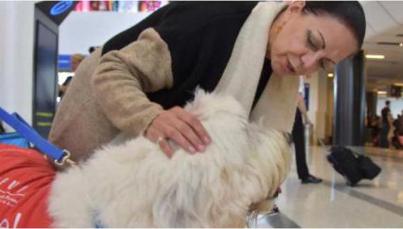 Aeropuerto Internacional Jorge Chávez: mascotas podrán recibir a sus dueños 