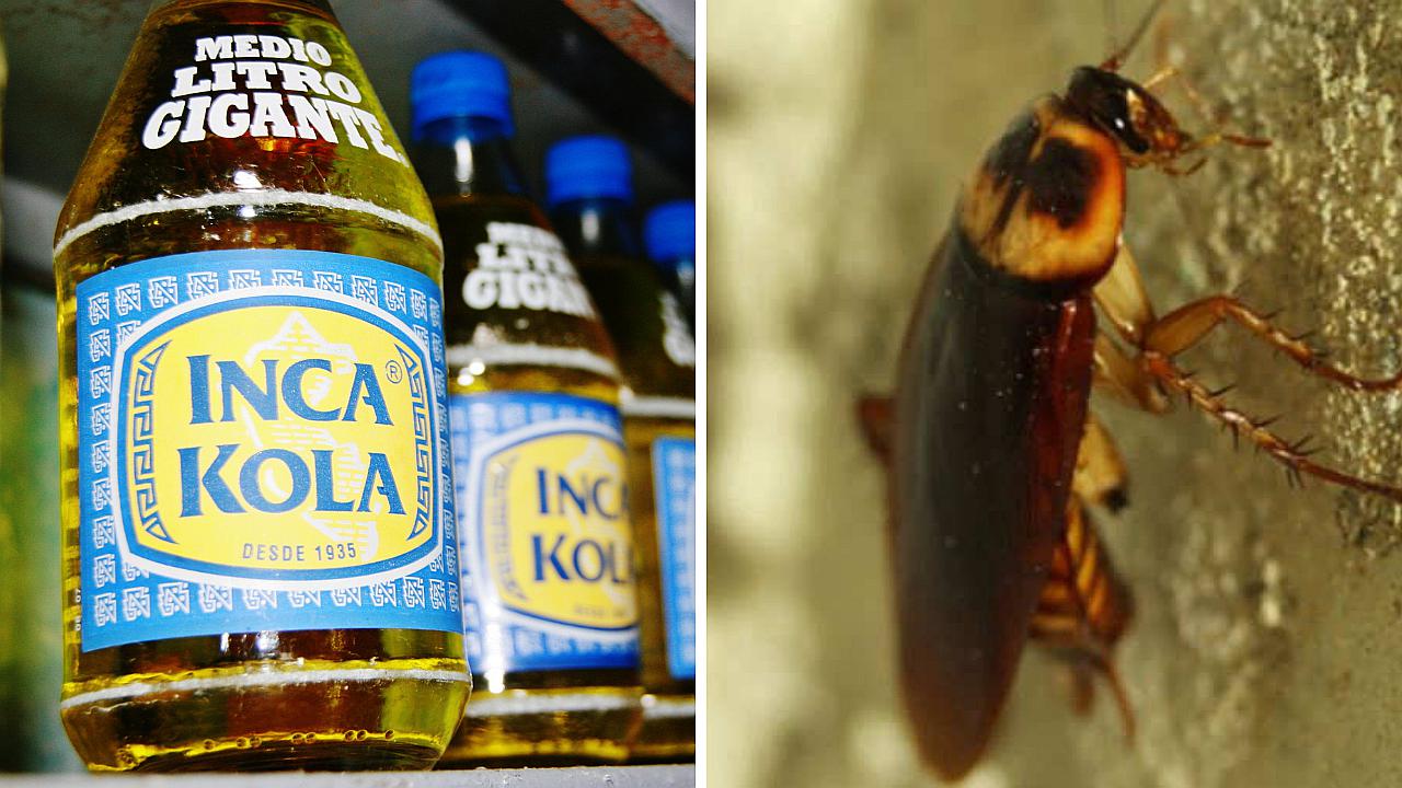 Inca Kola se pronuncia sobre hallazgo de una cucaracha dentro de su gaseosa (FOTO)