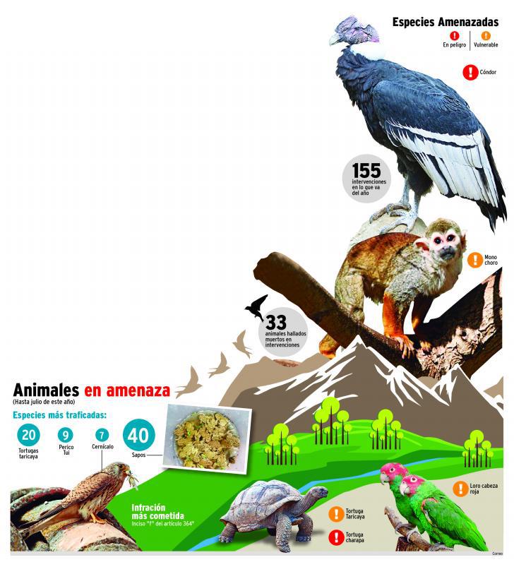 Depredan fauna de Junín