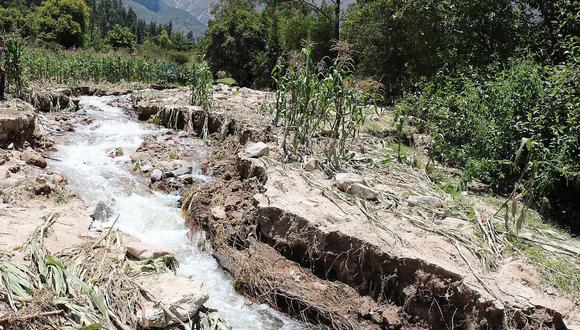 Ayacucho tercera región con mayor pérdidas en la agricultura  