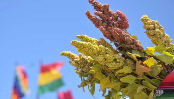 Bolivia: Ofrecerán hostias de quinua a papa Francisco