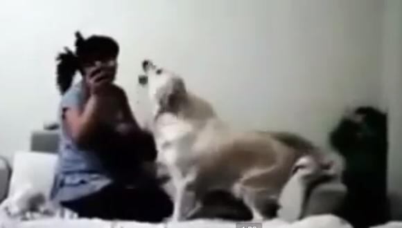 ​Te asombrará como estos perritos defienden a su pequeño amo (VIDEO)