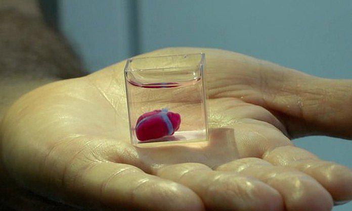 Crean un corazón vivo en impresora 3D con tejido humano
