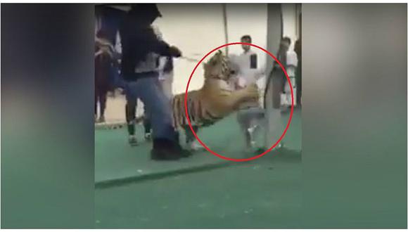 YouTube: niña fue atacada por tigre en mercado de Arabia Saudita (VIDEO)