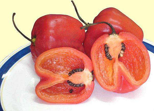 Consumir rocoto te alargaría la vida, según estudio