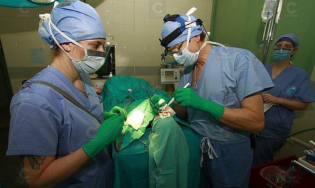 Médicos holandeses operarán a niños con labio leporino y paladar hendido