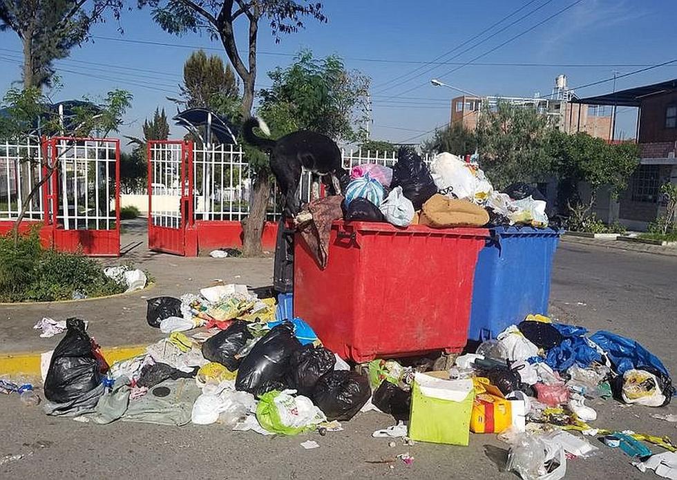 Cúmulos de basura siguen en las calles tras 2 meses de nuevas autoridades (FOTOS)