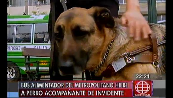 Alimentador del Metropolitano hirió a perro guía que acompañaba a invidente