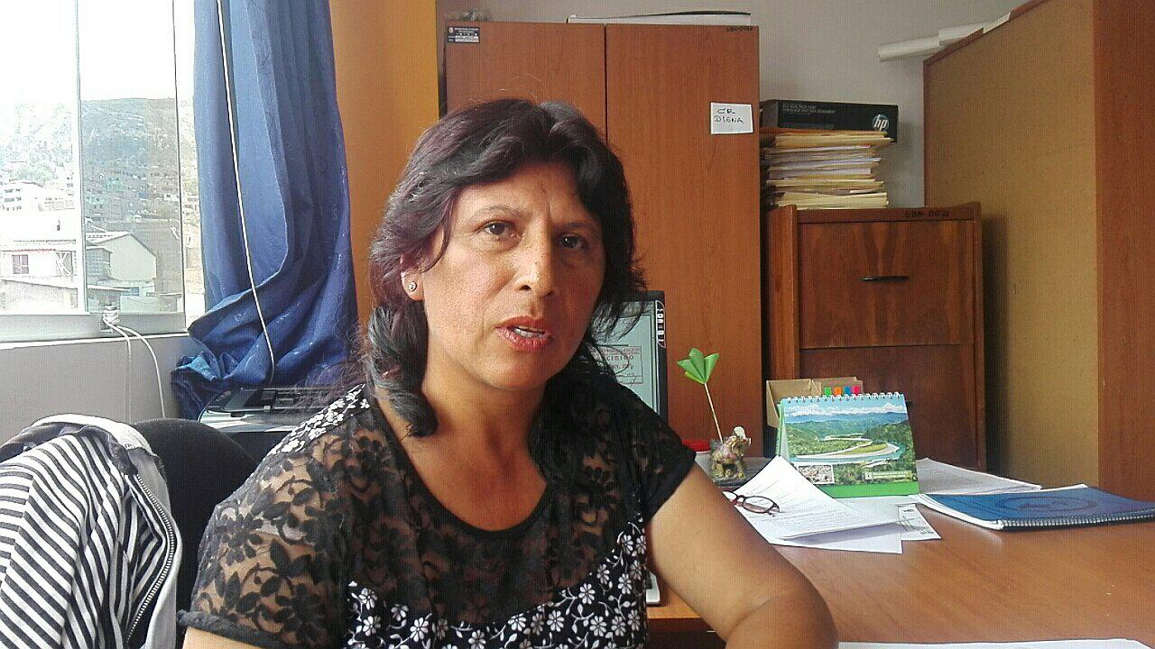 Siete obras continúan paralizadas en Paucar del Sara Sara