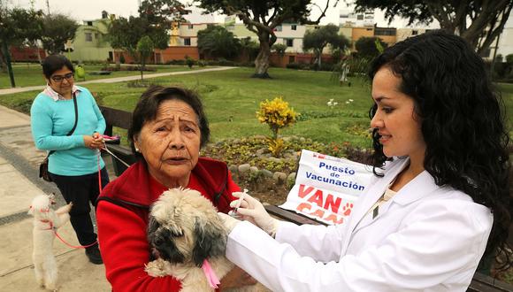 ​Ministerio de Salud vacunará contra la rabia a más de 2.9 millones de perros