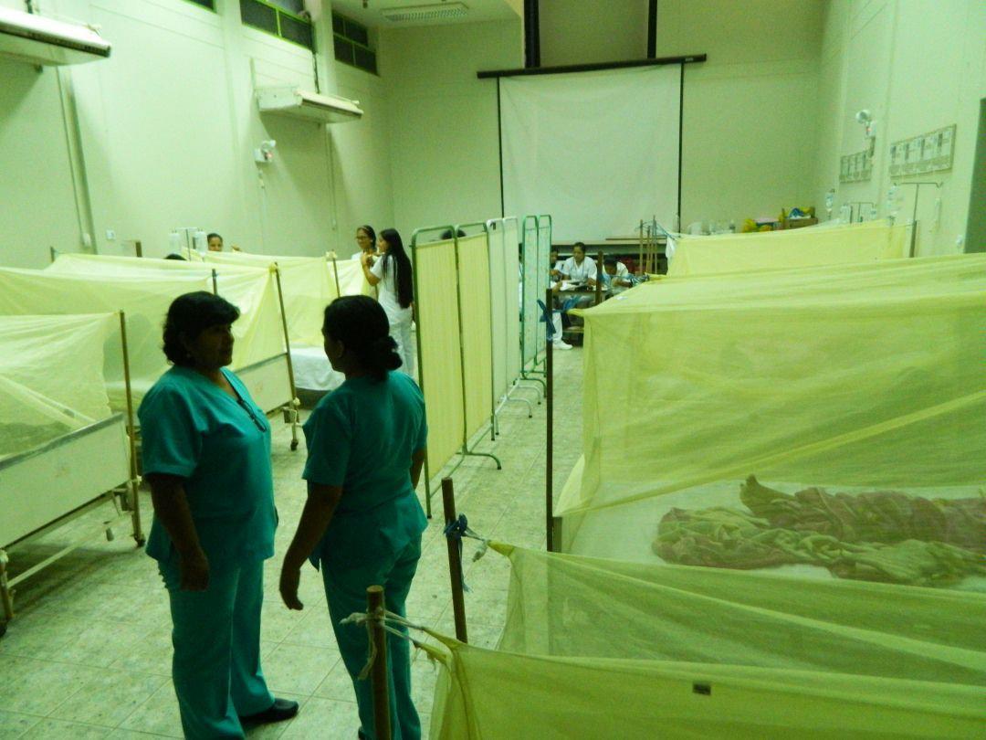 El Minsa ha transferido cerca de S/4.3 millones a las regiones Madre de Dios, san Martín y Loreto para combatir el brote de dengue. (Foto: GEC)