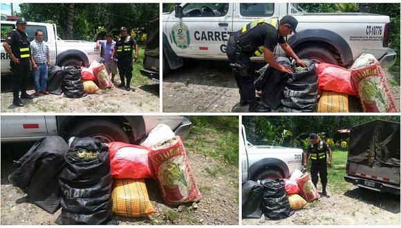 Satipo: Policía decomisa 110 kilos de hoja de coca