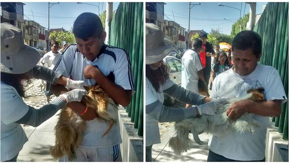 Rabia canina: En Bustamante se vacunan 12 mil animales