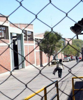 Trabajadores de Michell denuncian despidos