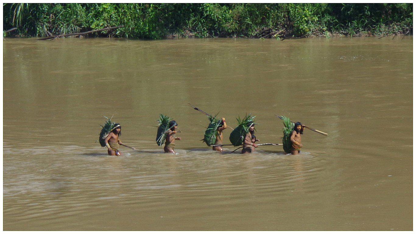 Ejecutivo crea las tres primeras reservas para nativos en aislamiento voluntario